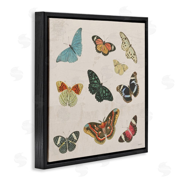 Stupell Industries Dan Meneely | Vintage Butterfly Flight Wall Art