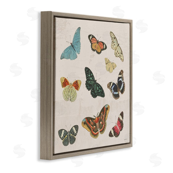 Stupell Industries Dan Meneely | Vintage Butterfly Flight Wall Art