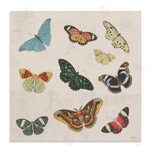stupell industries Dan Meneely | Vintage Butterfly Flight Wall Art