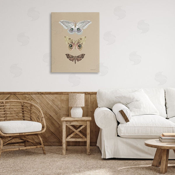 Stupell Industries Danhui Nai | Beauty Of Forest Moths Wall Art