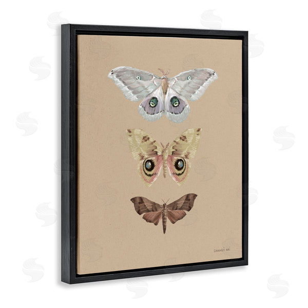 Stupell Industries Danhui Nai | Beauty Of Forest Moths Wall Art