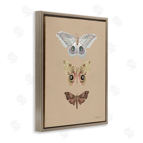 Stupell Industries Danhui Nai | Beauty Of Forest Moths Wall Art