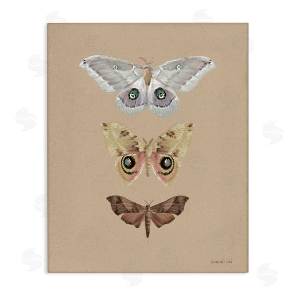 stupell industries Danhui Nai | Beauty Of Forest Moths Wall Art