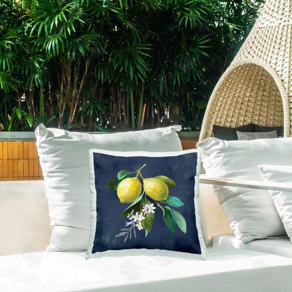 Stupell Industries Danhui Nai | Lemon Branches On Blue Printed Throw Pillow