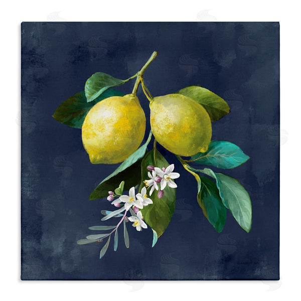 stupell industries Danhui Nai | Lemon Branches on Blue Wall Art