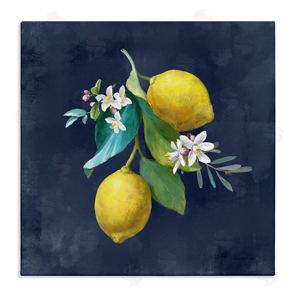 stupell industries Danhui Nai | Lemon Cluster on Blue Wall Art