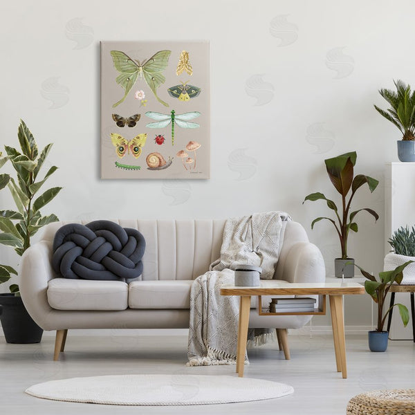 Stupell Industries Danhui Nai | Various Insect Studies Wall Art