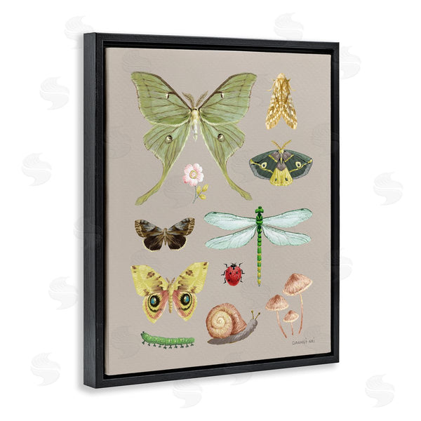 Stupell Industries Danhui Nai | Various Insect Studies Wall Art