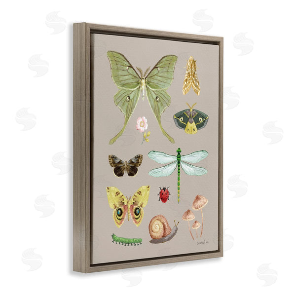 Stupell Industries Danhui Nai | Various Insect Studies Wall Art