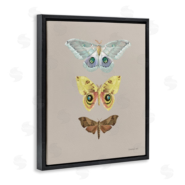 Stupell Industries Danhui Nai | Vintage Moth Species Wall Art