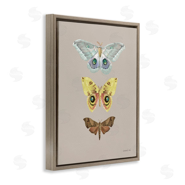 Stupell Industries Danhui Nai | Vintage Moth Species Wall Art