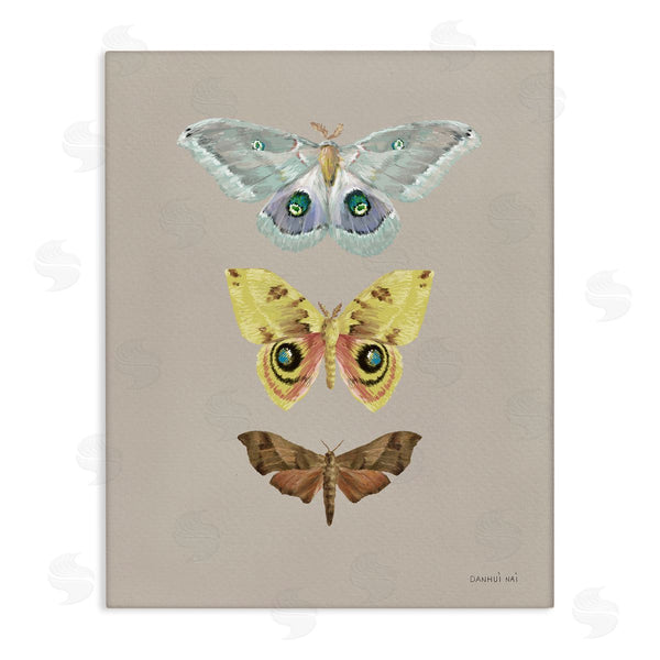 stupell industries Danhui Nai | Vintage Moth Species Wall Art