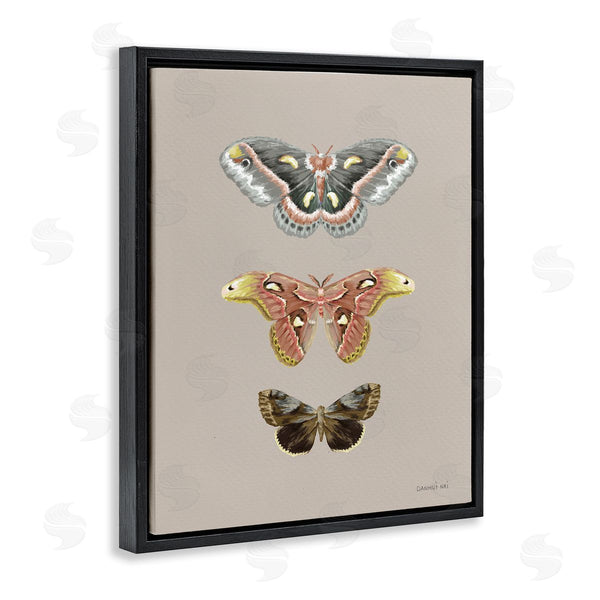 Stupell Industries Danhui Nai | Vintage Moth Specimens Wall Art
