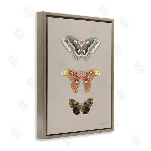 Stupell Industries Danhui Nai | Vintage Moth Specimens Wall Art