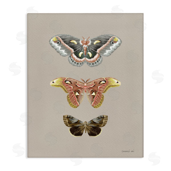 stupell industries Danhui Nai | Vintage Moth Specimens Wall Art