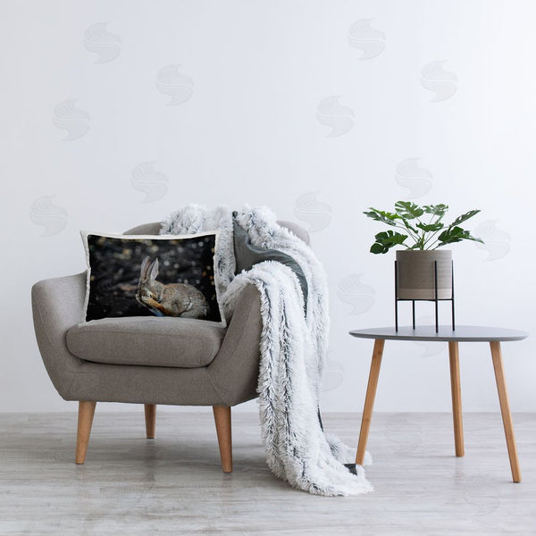 Stupell Industries Daniel Friend | Embarrassed Hare In Forest