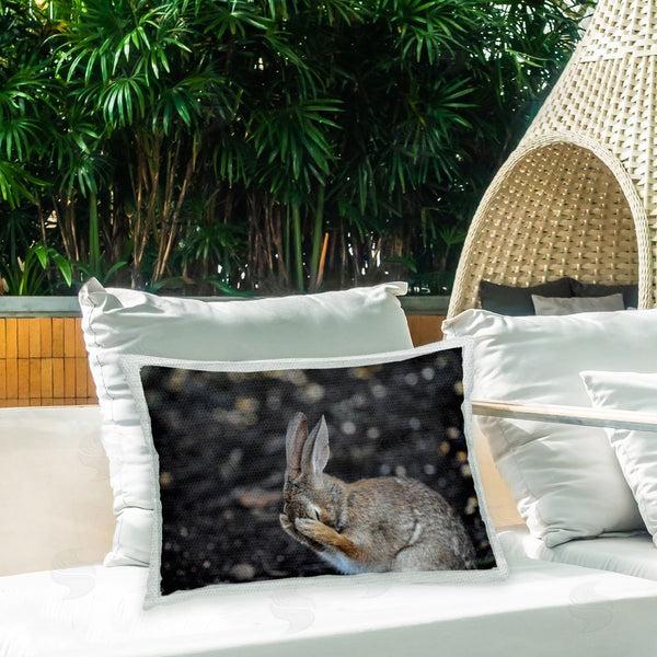 Stupell Industries Daniel Friend | Embarrassed Hare In Forest