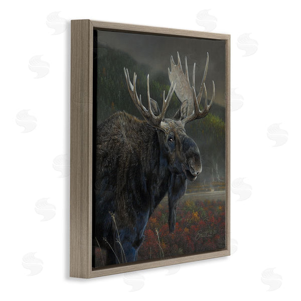 Stupell Industries Daniel Smith | Moose Dark Forest Landscape Wall Art