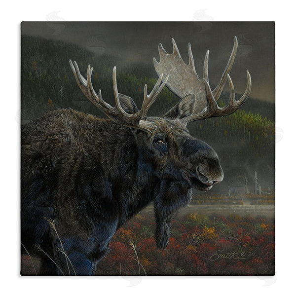 stupell industries Daniel Smith | Moose Dark Forest Landscape Wall Art