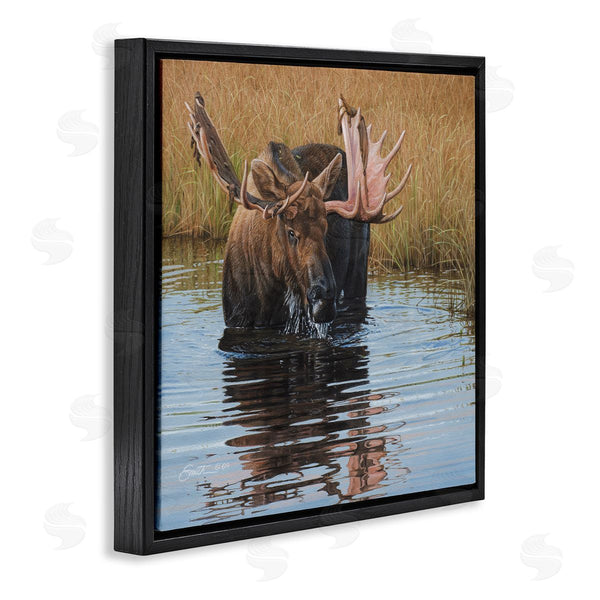 Stupell Industries Daniel Smith | Moose In Water Wildlife Scene Wall Art