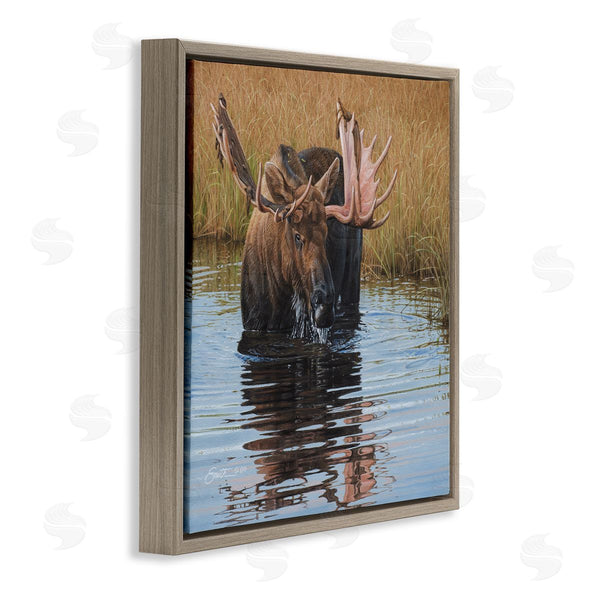 Stupell Industries Daniel Smith | Moose In Water Wildlife Scene Wall Art