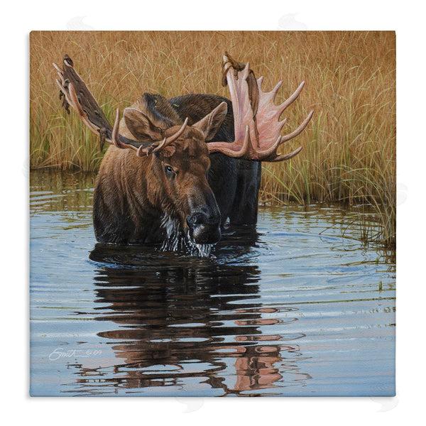 stupell industries Daniel Smith | Moose In Water Wildlife Scene Wall Art