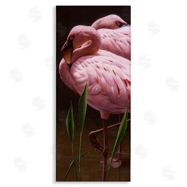 stupell industries Daniel Smith | Two Flamingos Pond Nature Wall Art