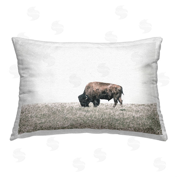 Stupell Industries Daniel Sproul | Bison Grazing Scenery