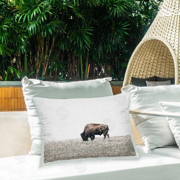 Stupell Industries Daniel Sproul | Bison Grazing Scenery