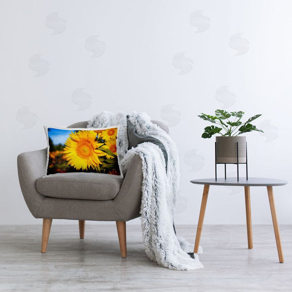 Stupell Industries Daniel Sproul | Blooming Country Flowers