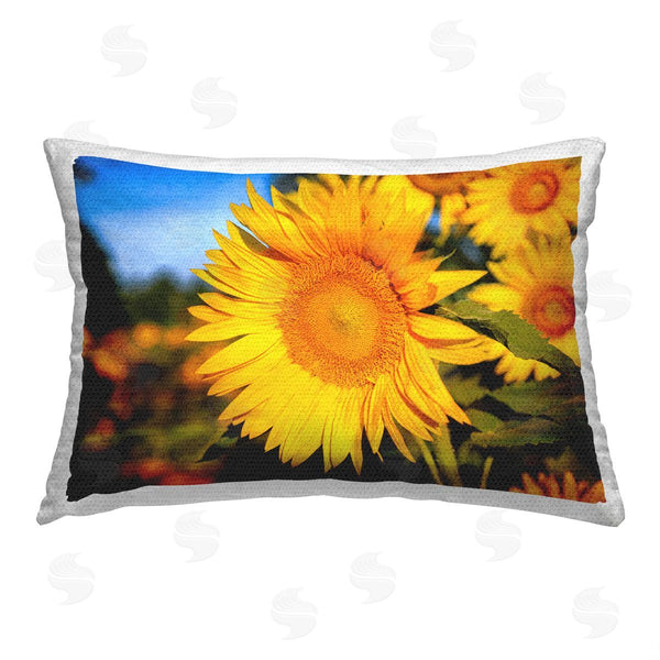 Stupell Industries Daniel Sproul | Blooming Country Flowers