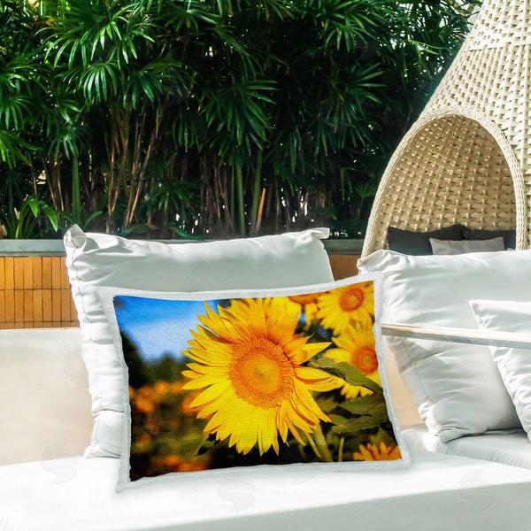 Stupell Industries Daniel Sproul | Blooming Country Flowers