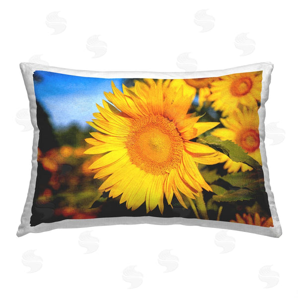 stupell industries Daniel Sproul | Blooming Country Flowers