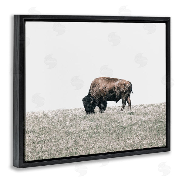 Stupell Industries Daniel Sproul | Buffalo Grazing Pasture