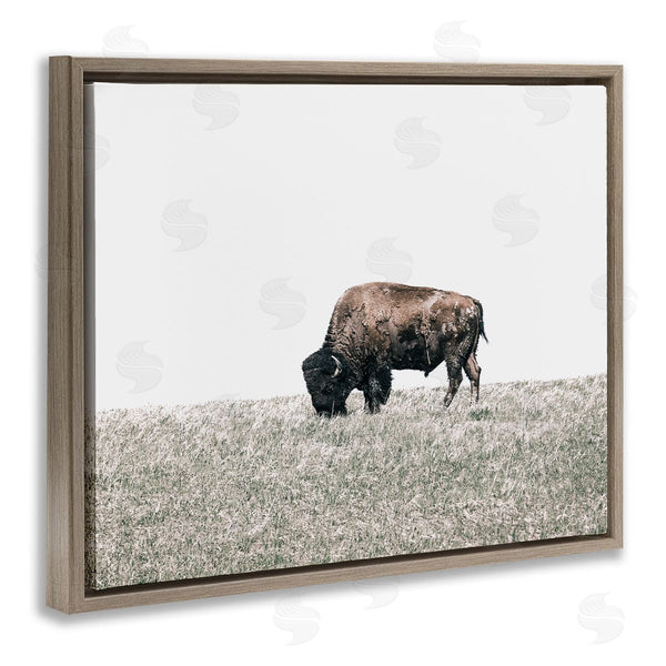 Stupell Industries Daniel Sproul | Buffalo Grazing Pasture