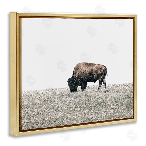 Stupell Industries Daniel Sproul | Buffalo Grazing Pasture