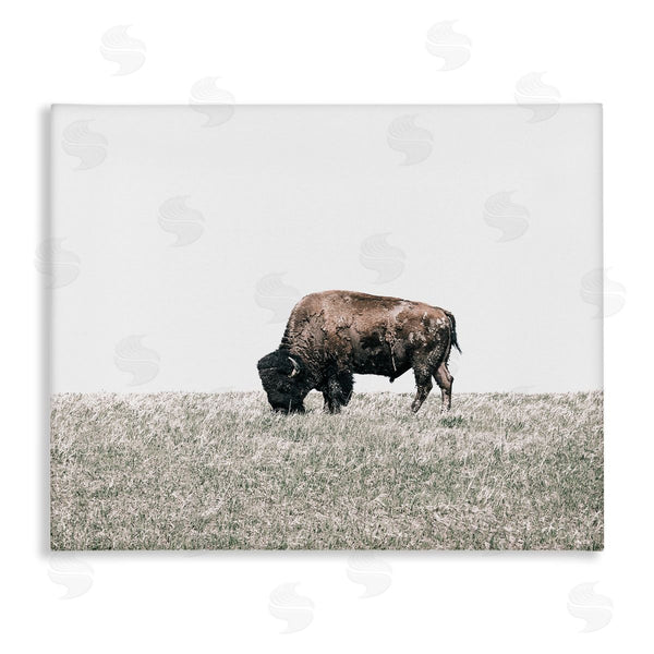 stupell industries Daniel Sproul | Buffalo Grazing Pasture