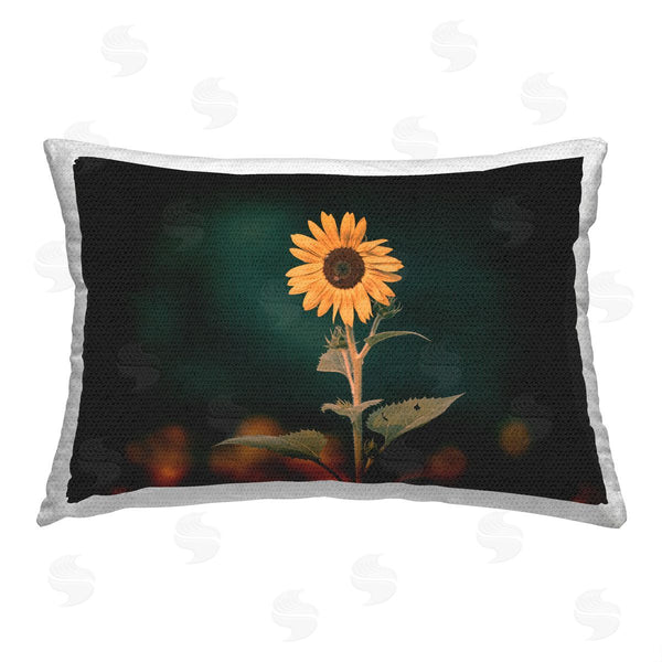 Stupell Industries Daniel Sproul | Country Sunflower Bloom