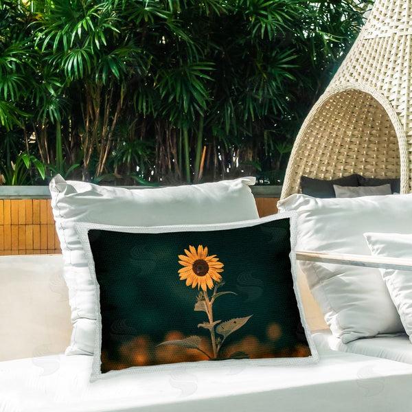 Stupell Industries Daniel Sproul | Country Sunflower Bloom