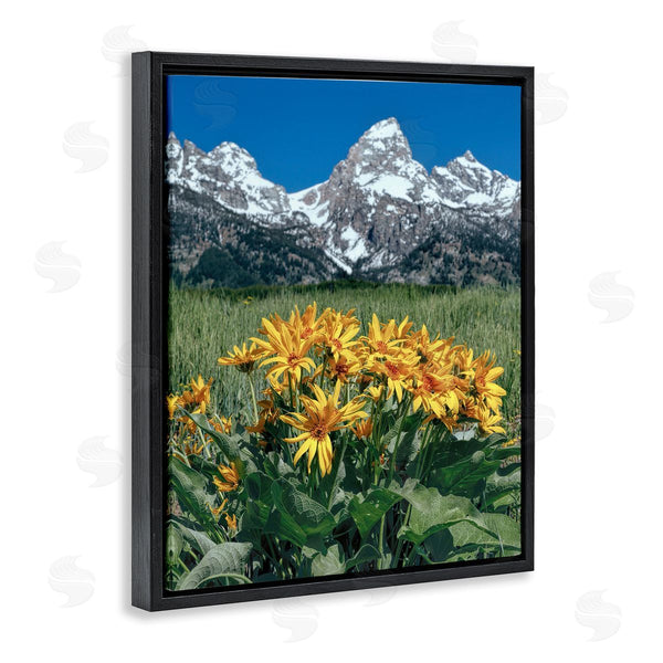 Stupell Industries Daniel Sproul | Daisies & Mountain Peaks