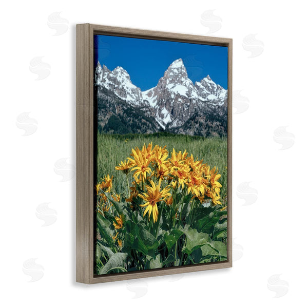 Stupell Industries Daniel Sproul | Daisies & Mountain Peaks