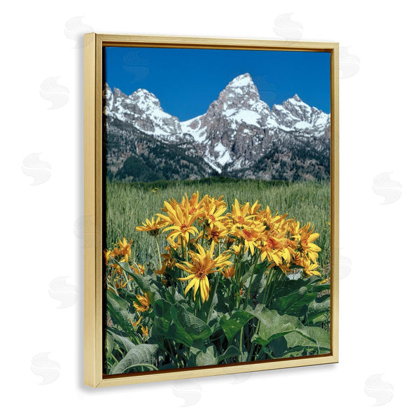 Stupell Industries Daniel Sproul | Daisies & Mountain Peaks