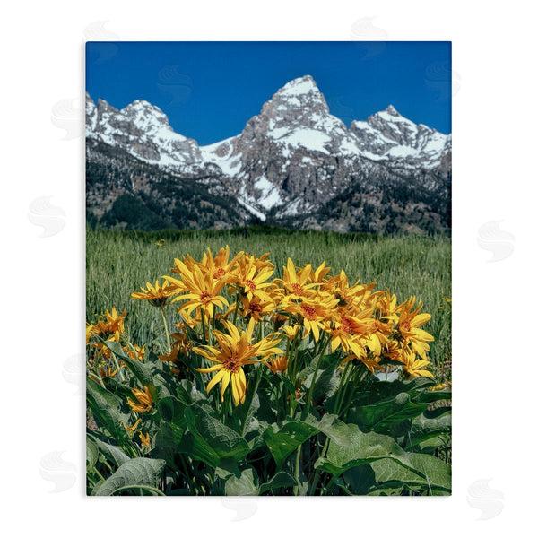 stupell industries Daniel Sproul | Daisies & Mountain Peaks