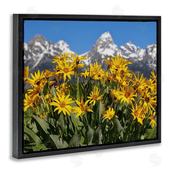 Stupell Industries Daniel Sproul | Daisy Meadow & Mountains