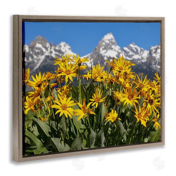 Stupell Industries Daniel Sproul | Daisy Meadow & Mountains