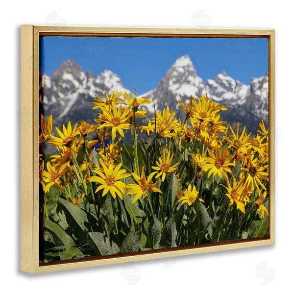 Stupell Industries Daniel Sproul | Daisy Meadow & Mountains