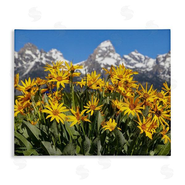 stupell industries Daniel Sproul | Daisy Meadow & Mountains