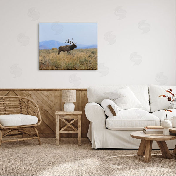 Stupell Industries Daniel Sproul | Elk Grazing Pasture Grassland Blue Distant Mountains Wall Art