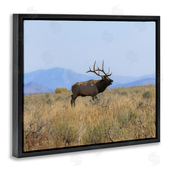 Stupell Industries Daniel Sproul | Elk Grazing Pasture Grassland Blue Distant Mountains Wall Art