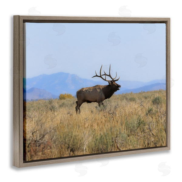 Stupell Industries Daniel Sproul | Elk Grazing Pasture Grassland Blue Distant Mountains Wall Art